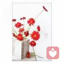 treat		yourself		kin的头像