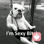 ★小鬼☆的头像