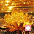 温柔倾听768的头像