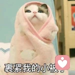 刘知娴。的头像