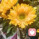 爱像水墨青花的头像