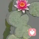 琉璃主人的头像