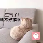 a	摩西麦麦的头像