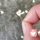 时琰的头像
