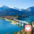 心由相生的头像