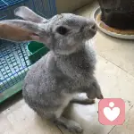 ゞ大小姐的任性无可抵挡ゞ的头像