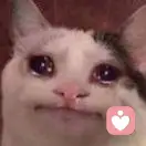 常小犊子的头像