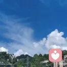 缘的头像