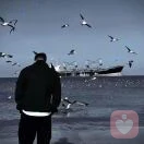 .叙白