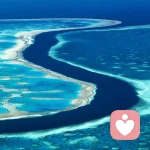 迷失的人的头像