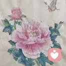 闺愿的头像