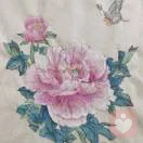 闺愿