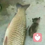 勇敢说出来的头像