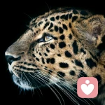 海纳百川的头像