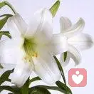 我思故我在的头像