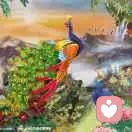 		小鸟依人的头像