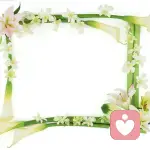 輝煌誰不想的頭像