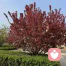 春天视力提升工作室的头像