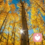 ㄣ半生毀於愛╰☆ぷ的头像