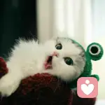 a-且待晚風(fēng)漸的頭像