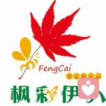 枫彩伊人的头像