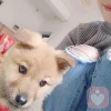 曦月