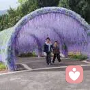 🌹: 🌼᭄好运ꚸ的头像
