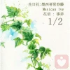阳光下那ゟ抹❈牵强的笑
