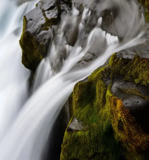 内部专家心理专家,内部专家心理咨询费用,内部专家心理咨询效果怎么样