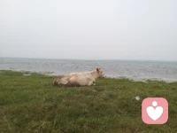 遠(yuǎn)離高談道德的人，因為他們做事無底線。配圖