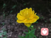 咨詢結(jié)束！?當(dāng)軀體的癥狀伴隨著咨詢的進(jìn)程逐漸放松時(shí)，就像一朵花兒在慢慢的綻放！多美的的時(shí)光！?想說(shuō)的一句話就是：同經(jīng)風(fēng)雨，共享芬芳！配圖