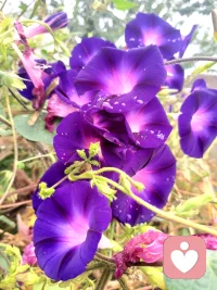 在青春初期受到不正常渠道的性信息會讓其產生性認知偏差，導致異常感受。這會影響以后的生活和家庭穩定，甚至不能組建家庭。必須糾正這個問題，讓其有正確的認知和感受。配圖