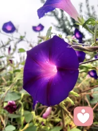 出現性異常感受后天原因主要是性信息來源不正常，沒有正確的性教育。非正常的性信息導致對性有了不正確的認知，出現感覺異常。很多性騷擾者就是如此。他們的正常感受沒有被激發，產生壓抑，對自己對社會都是危害。咨詢中要根據其具體情況針對性處理。配圖