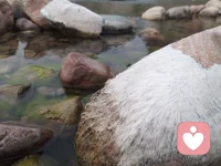 深秋了，河邊的石頭也感到了冬天臨近，披上了毛衣。?我們看到的是真實的，感覺就不一定了。這是水藻被曬干了。配圖