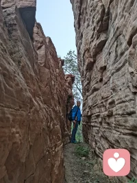 年輕的時(shí)候喜歡華麗的辭藻，口感很重；現(xiàn)在喜歡清淡的，樸實(shí)無(wú)華的。盡管感覺(jué)自己還有些虛偽，也討厭這些虛偽。卻也在努力改變自己，讓自己的心慢慢的落地。到了一定的年齡，就會(huì)不斷的反思，像反芻，更像慢慢的釀化，把過(guò)去的生活經(jīng)歷反復(fù)咀嚼，發(fā)酵，不是去參悟生活，是參悟自己，讓自己生活的如實(shí)如是。?也許會(huì)有一段時(shí)間，自己來(lái)品嘗這杯酒，什么味道，只有自己最清楚。?如果是清淡，接近于寡淡，那就好。?如果像純水，那就是我的最?lèi)?ài)了。配圖