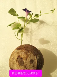 走過的是日子，變化的是季節(jié)。留下的是友情，不變的是執(zhí)著。配圖