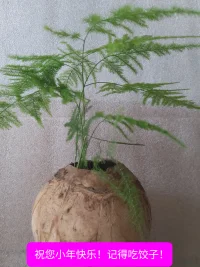 祝平臺(tái)各位老師朋友小年快樂(lè)！記得吃餃子！配圖