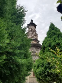 不只一位朋友问过我，感觉生活太烦了，厌倦了，到寺院里是不是就清净了。
       ​我是这样回答的：
       ​看见过氢气球吗？，它一路向上，最终会怎样？
        ​最终它炸裂了，原因是越往上飄，空气越稀薄，气压越小，而气球里的氢气还是那样多，气球内压大于空气压力，就开始膨胀。
       ​最终到了一定高度，就爆炸了。
        ​气球爆炸的原因是外边的压力小了，内在的压力会让其不堪重负。
       ​生活中的压力很大，但一旦到了安静的环境里，内心的烦躁也会让你寝食难安。
       ​何况躲到寺院里，问题没有解决，烦心还在。外在的干扰消失，会让你的心更专注的停留在烦心上。
        ​如果说到寺院里冷静一下，重新思考面对，这倒也是一个办法。
        ​但所有的生活问题，最终还要在生活中面对解决。
        没有可以逃避的。
       ​天下再大，也没有心可以逃避的地方。
       ​唯有面对！
