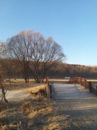 我们不要寻求宁静，因为寻求的心，也是一个杂念。
只需要觉察当下，但有的人会不停的觉察当下。
这也是一个念头，纷扰的念头。
还需要与当下同在。
没有念头。