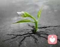 青春年少對很多事情都有探索的渴望，有時候心煩意亂多愁善感，有時候敢想敢干無所畏懼。生活中有磕磕絆絆苦辣酸甜，有詩和遠方讓人向往。自己做自己人生的導演，照顧好自己才能看到全劇終。配圖