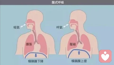 （六）丛中：从业25年，接待上万个案后，我发现来访者的症状是这样消失的