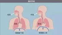 （六）叢中：從業25年，接待上萬個案后，我發現來訪者的癥狀是這樣消失的