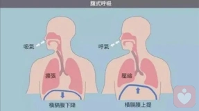 （六）丛中：从业25年，接待上万个案后，我发现来访者的症状是这样消失的