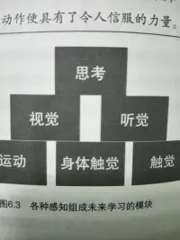 我們一直在強調行動，但我們卻對【行】的三個功能了解很少……這三個功能其實是一個人從小到大有順序、有側重發展的三個技能，而不是字面意義的三個人，是一個人可以拿來切換使用的三種技能。【要用得先有】……你知道自己正在做“什么”，甚至知道更重要的，你在行動中“如何”運用自己，就有能力用你想要的方式做事。配圖