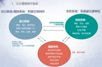 你腦子里一般情況下哪個系統在占主導？?可以怎么三個都拿來為你所用？而不是被它們單獨攻陷？配圖