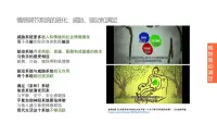 你腦子里一般情況下哪個系統在占主導？?可以怎么三個都拿來為你所用？而不是被它們單獨攻陷？配圖