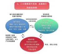 你腦子里一般情況下哪個系統在占主導？?可以怎么三個都拿來為你所用？而不是被它們單獨攻陷？配圖