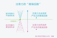 圖一中那些“知道”、“行動”、“運用”、“能力”、“想要”等等需要什么才可能搞得成？???三幅相同的圖并不是強調這就是所有感知???三生萬物……?但需要有個連接的東西在中間???利用事情?注意力?使用自己配圖