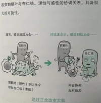 接前一條所謂的精神內耗，結合昨晚規模空前“dafeiji”的體驗，這個“內耗”主要在哪里耗？耗掉的是什么？與“精神”有幾毛錢關系？?有前面這些墊底，“補充消耗能量以引導野獸本能與大腦理性協調”的東東相應自然地才能在后面慢慢展得開……配圖