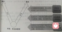 1、3？還是2、4？配圖
